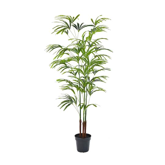6ft. Potted Lady Palm Plant by Ashland&#xAE;